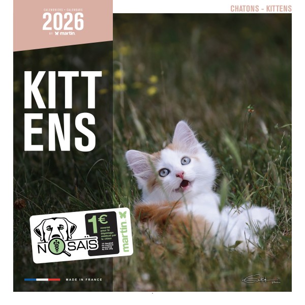 CALENDRIER 2026 CHATONS MARTIN SELLIER-DOGFRENCHTOUCH