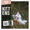 CALENDRIER 2026 CHATONS MARTIN SELLIER-DOGFRENCHTOUCH