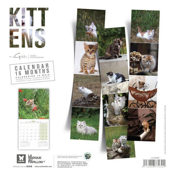 CALENDRIER 2026 CHATONS MARTIN SELLIER-DOGFRENCHTOUCH