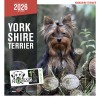 CALENDRIER chien 2026 YORKSHIRE MARTIN SELLIER-DOGFRENCHTOUCH
