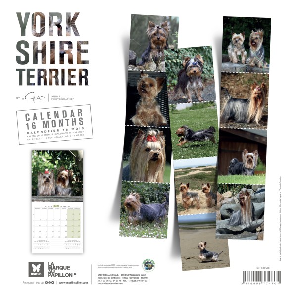 CALENDRIER chien 2026 YORKSHIRE MARTIN SELLIER-DOGFRENCHTOUCH