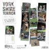 CALENDRIER chien 2026 YORKSHIRE MARTIN SELLIER-DOGFRENCHTOUCH