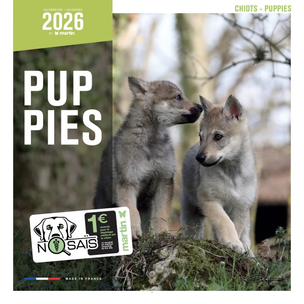 CALENDRIER chien 2026 CHIOTS MARTIN SELLIER-DOGFRENCHTOUCH