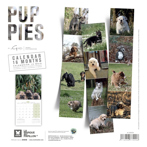 copy of Calendrier chien 2023-2024 Bouledogue français MARTIN SELLIER