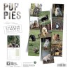 CALENDRIER chien 2026 CHIOTS MARTIN SELLIER-DOGFRENCHTOUCH