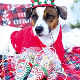 CORNET DE FRIANDISES NOEL pour chien BOEUF COOKA'S COOKIES-DOGFRENCHTOUCH