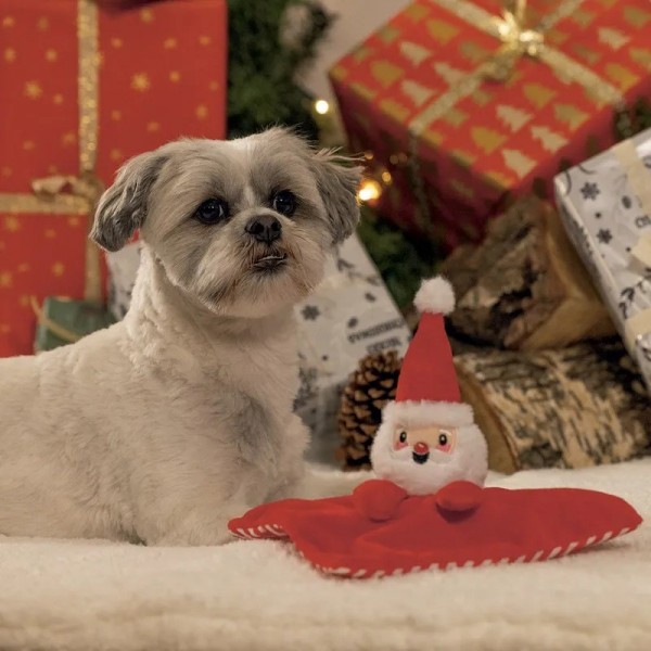 JOUET pour chien PELUCHE DOUDOU PERE NOEL BEEZTEES-DOGFRENCHTOUCH