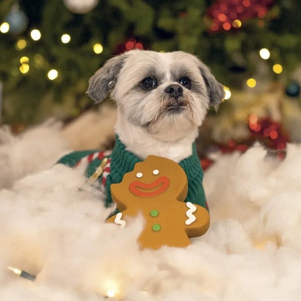 JOUET pour chien M. BISCUIT en latex BEEZTEES-DOGFRENCHTOUCH