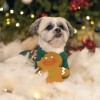 JOUET pour chien M. BISCUIT en latex BEEZTEES-DOGFRENCHTOUCH