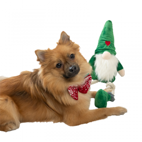 NOEUD PAPILLON DE NOEL pour chien BEEZTEES-DOGFRENCHTOUCH