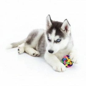 JOUET pour chien BALLE TWIST en caoutchouc souple-DOGFRENCHTOUCH