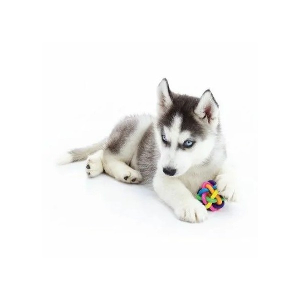 copy of Anneau fluo avec corde de 8 cm pour chien FLAMINGO