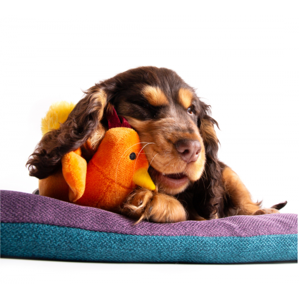 JOUET pour chien PELUCHE COQ ORANGE sonore MARTIN SELLIER-DOGFRENCHTOUCH