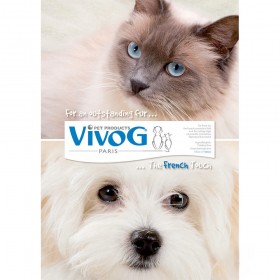 COLLIER EN CUIR pour chien BICKER noir VIVOG-DOGFRENCHTOUCH