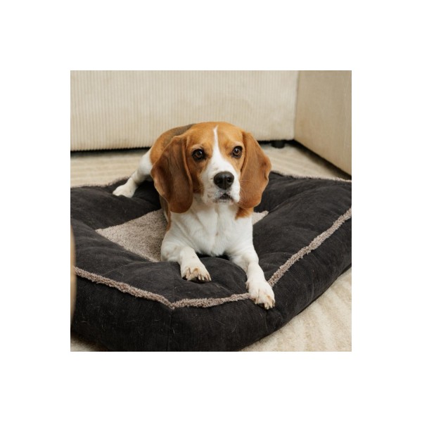 copy of Sac de transport tunnel Anthracite Collection Real Dreamer MARTIN SELLIER