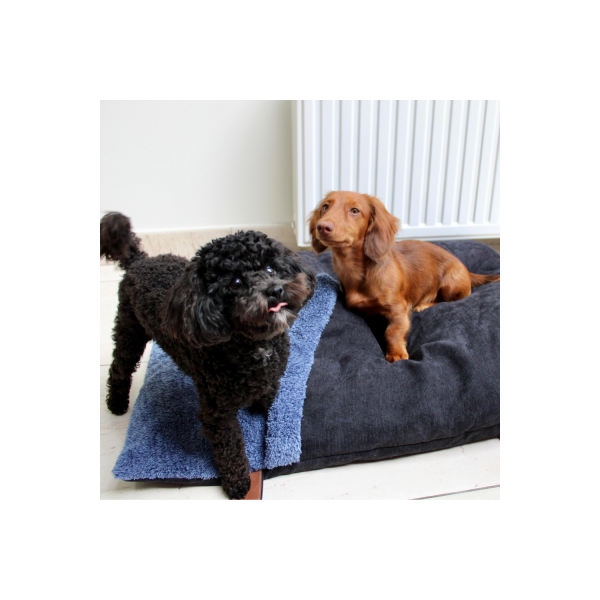 COUSSIN COUVERTURE DEHOUSSABLE pour chien et chat Collection DOUDOUZEN bleu noir MARTIN SELLIER-DOGFRENCHTOUCH