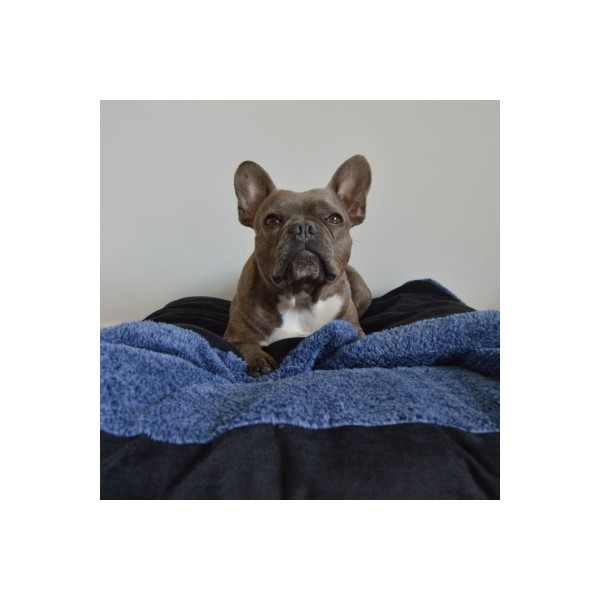 COUSSIN COUVERTURE DEHOUSSABLE pour chien et chat Collection DOUDOUZEN bleu noir MARTIN SELLIER-DOGFRENCHTOUCH