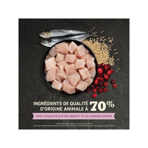 CROQUETTES pour chatons ACANA CAT FIRST FEAST ACANA-DOGFRENCHTOUCH