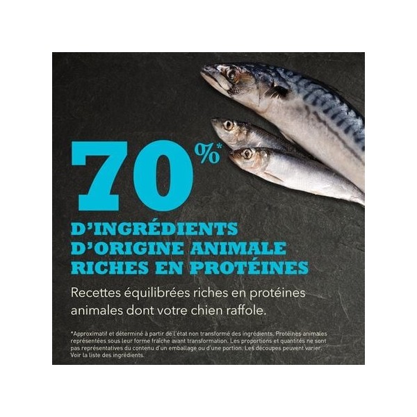 copy of Croquettes Acana Classic Red pour Chien