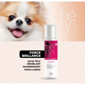 Spray Ultra Démêlant pour Chien - Poils Longs - Héry