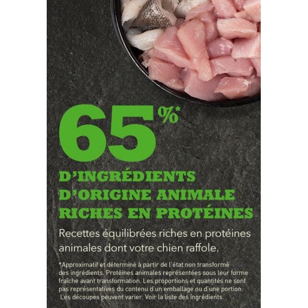 CROQUETTES pour chien ACANA DOG HERITAGE SENIOR ACANA-DOGFRENCHTOUCH