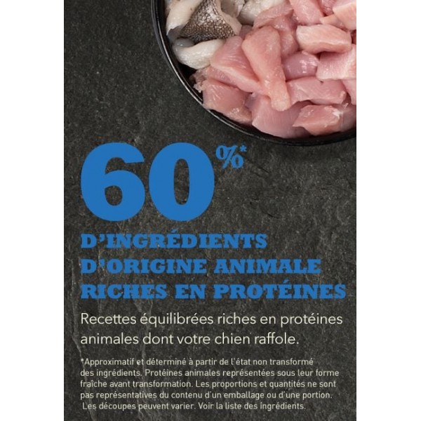 copy of Croquettes Acana Classic Red pour Chien