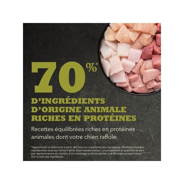 copy of Croquettes Acana Classic Red pour Chien