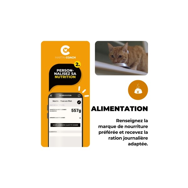 TRAQUEUR D'ACTIVITE pour chat MARTIN COACH MARTIN SELLIER-DOGFRENCHTOUCH