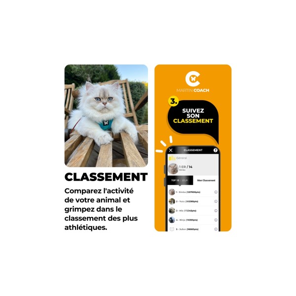 TRAQUEUR D'ACTIVITE pour chat MARTIN COACH MARTIN SELLIER-DOGFRENCHTOUCH