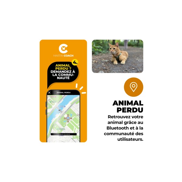 TRAQUEUR D'ACTIVITE pour chat MARTIN COACH MARTIN SELLIER-DOGFRENCHTOUCH