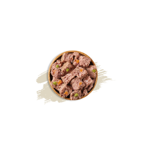 PATE sans céréales pour chien DINDE aux légumes ORIGINAL MINI NATURE'S VARIETY-DOGFRENCHTOUCH