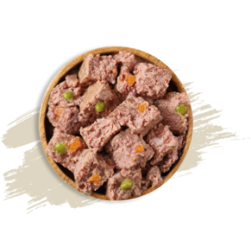 PATE sans céréales pour chien DINDE aux légumes ORIGINAL MEDIUM NATURE'S VARIETY-DOGFRENCHTOUCH