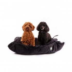 COSY PANIER PLAID TRANSFORMABLE pour chien ou chat collection TOUDOUDOU couleur noir MARTIN SELLIER-DOGFRENCHTOUCH