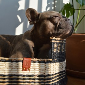 CORBEILLES TRESSEES pour chien et chat LOT DE 2 Collection BLACK & WHITE en papyrus MARTIN SELLIER-DOGFRENCHTOUCH