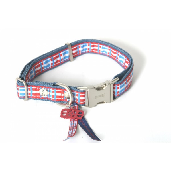 COLLIER pour chien DOG SAVE THE QUEEN IMAGE-DOGFRENCHTOUCH