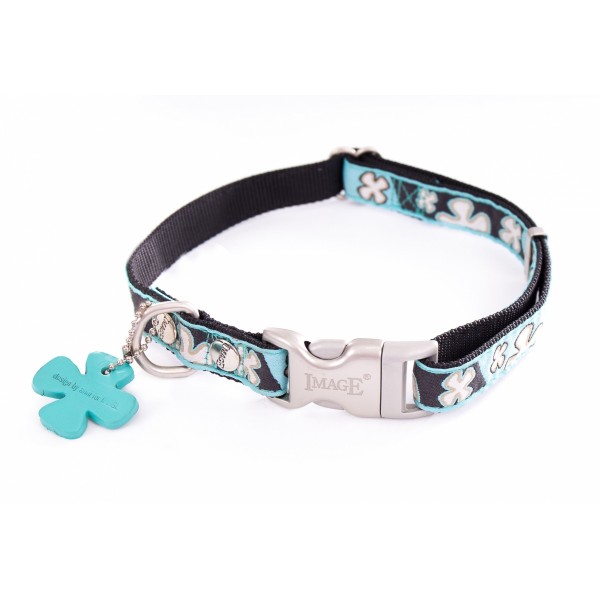COLLIER pour chien BOWXY couleur bleu IMAGE-DOGFRENCHTOUCH