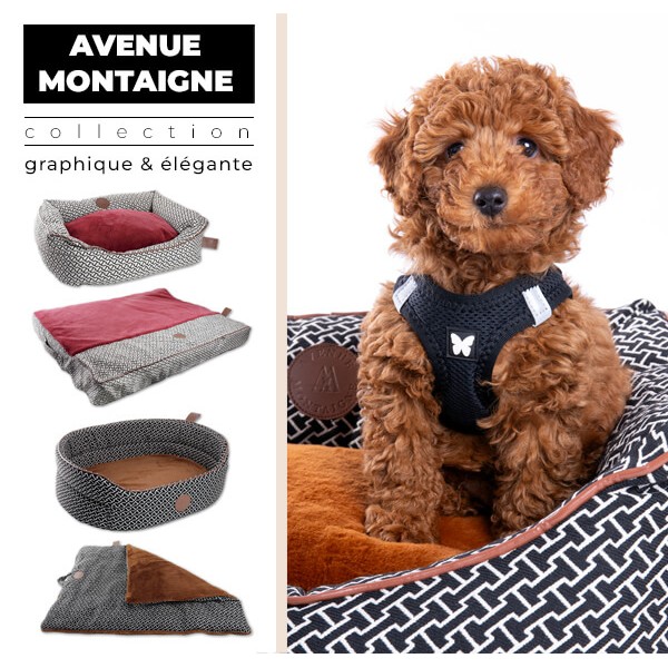 copy of Maison pour chien et chat Collection Avenue Montaigne Marron MARTIN SELLIER