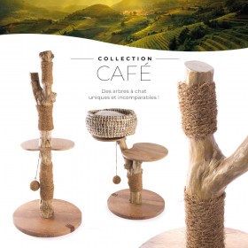 ARBRE A CHAT pour chat CAFEIER 2 niveaux MARTIN SELLIER-DOGFRENCHTOUCH
