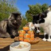 PATEE pour chat Mijotés de porc 70g x12 MARTIN FOOD MARTIN SELLIER-DOGFRENCHTOUCH