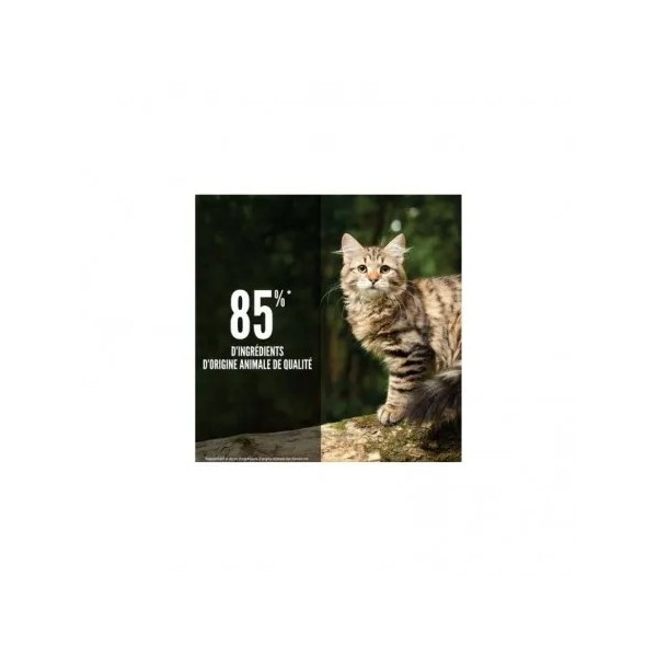 CROQUETTES pour chat TUNDRA ORIJEN-DOGFRENCHTOUCH