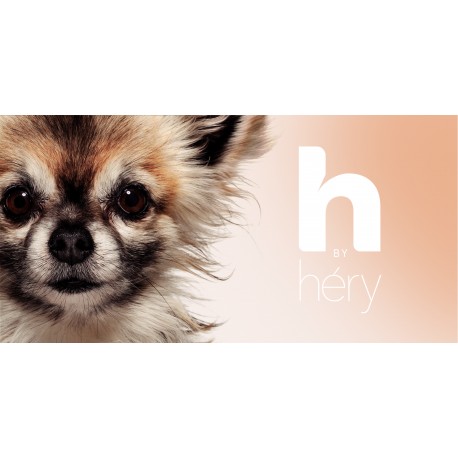 Lotion nettoyante sans rinçage H BY HERY pour chiens et chiots