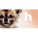 Soin des Oreilles pour chiot H BY HERY