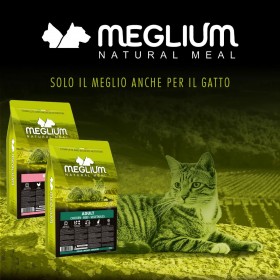 CROQUETTES pour chaton au POULET 10KG MEGLIUM-DOGFRENCHTOUCH