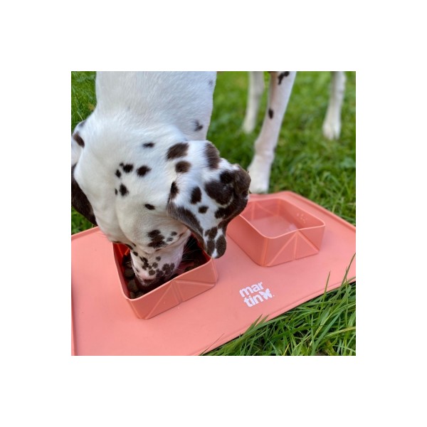 copy of GAMELLE DOUBLE PLIABLE pour chien et chat couleur bleu MARTIN SELLIER