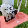 copy of GAMELLE DOUBLE PLIABLE pour chien et chat couleur bleu MARTIN SELLIER