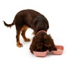 GAMELLE CARREE MELAMINEE pour chien et chat ELEGANCE MARTIN SELLIER-DOGFRENCHTOUCH