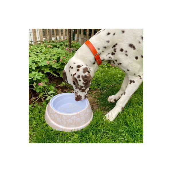 GAMELLES MELAMINEES pour chien LOT DE 6 COLLECTION JAPAN 1,4 L MARTIN SELLIER-DOGFRENCHTOUCH