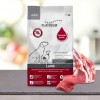 CROQUETTES pour chien MINI à l'agneau 900g PLATINUM-DOGFRENCHTOUCH