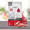 CROQUETTES pour chien MINI au boeuf 900g PLATINUM-DOGFRENCHTOUCH