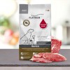 CROQUETTES pour chien MINI au porc ibérique 900g PLATINUM-DOGFRENCHTOUCH